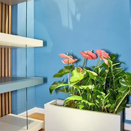Casa Cipradino 4* روما