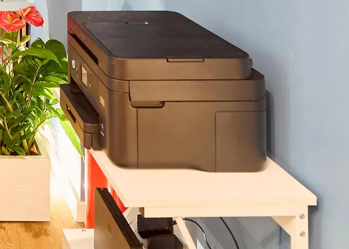 Alojamento de Acomodação e Pequeno-almoço Casa Cipradino 4*