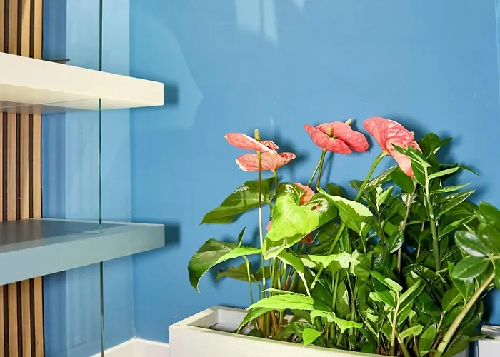 Casa Cipradino 4* Roma